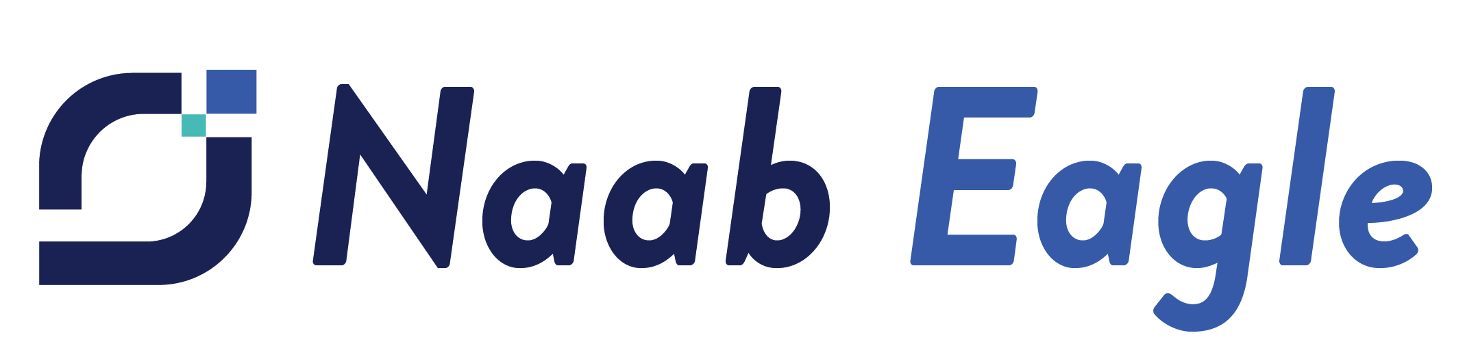 Naab Eagle IT Services